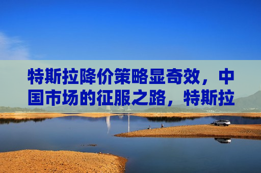 特斯拉降价策略显奇效，中国市场的征服之路，特斯拉降价策略显奇效，征服中国市场的秘诀，特斯拉降价策略显奇效，征服中国市场的秘诀