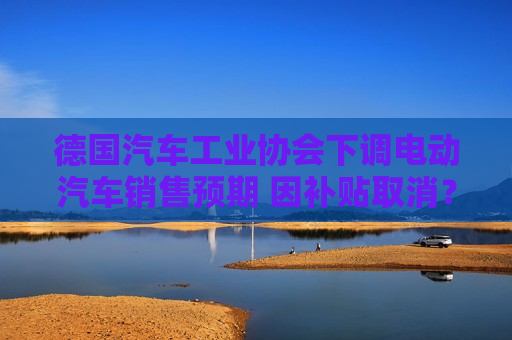 德国汽车工业协会下调电动汽车销售预期 因补贴取消？