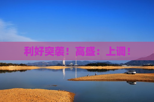 利好突袭！高盛：上调！