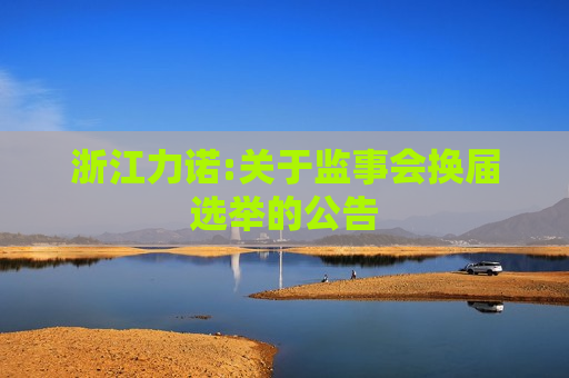 浙江力诺:关于监事会换届选举的公告