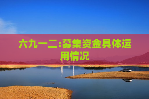 六九一二:募集资金具体运用情况