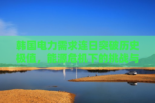 韩国电力需求连日突破历史极值，能源危机下的挑战与应对策略，韩国能源危机下的电力需求激增，挑战与应对策略，韩国能源危机下的电力需求激增，应对策略与挑战