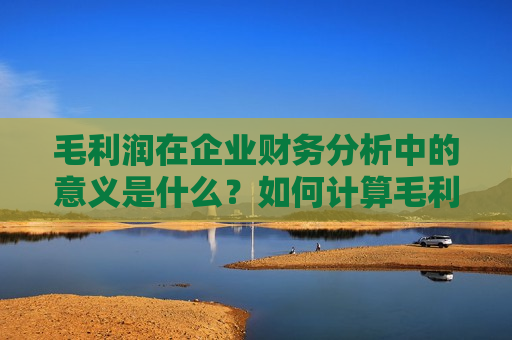 毛利润在企业财务分析中的意义是什么？如何计算毛利润？