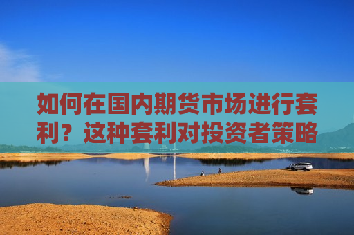 如何在国内期货市场进行套利？这种套利对投资者策略有何影响？