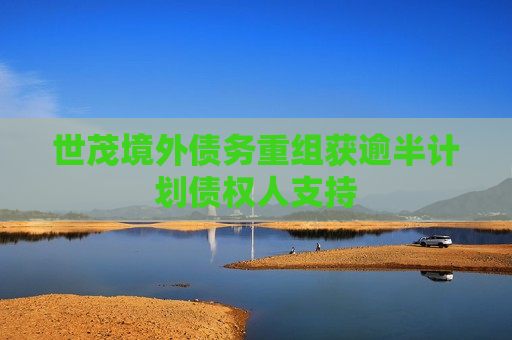 世茂境外债务重组获逾半计划债权人支持