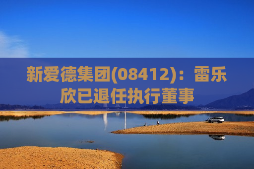 新爱德集团(08412)：雷乐欣已退任执行董事  第1张