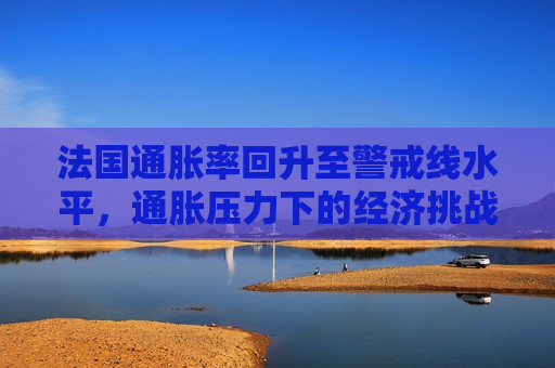 法国通胀率回升至警戒线水平，通胀压力下的经济挑战与应对策略分析，法国通胀率回升至警戒线，经济挑战与应对策略解析，法国通胀率回升至警戒线，经济挑战与应对策略解析
