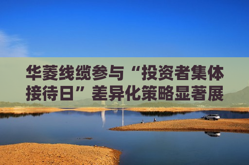 华菱线缆参与“投资者集体接待日”差异化策略显著展现企业竞争力