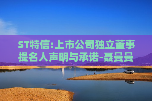 ST特信:上市公司独立董事提名人声明与承诺-聂曼曼