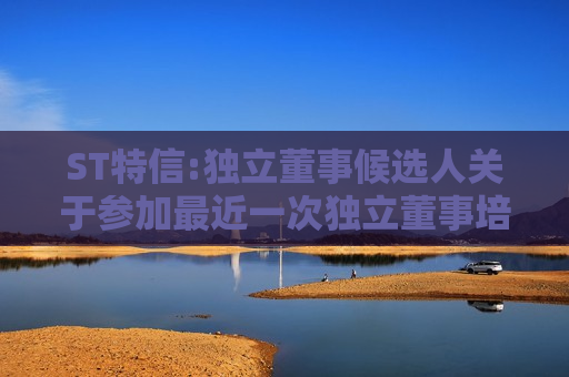 ST特信:独立董事候选人关于参加最近一次独立董事培训的书面承诺（周俊）  第1张