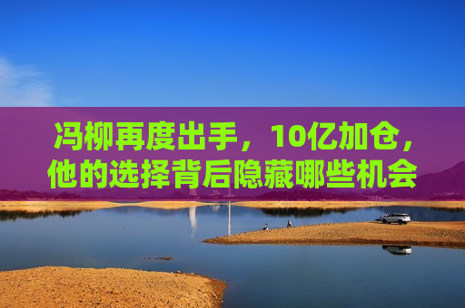 冯柳再度出手，10亿加仓，他的选择背后隐藏哪些机会？，冯柳十亿加仓，揭秘其选择背后的隐藏机会，冯柳十亿加仓背后的隐藏机会