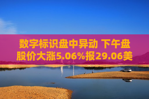 数字标识盘中异动 下午盘股价大涨5.06%报29.06美元