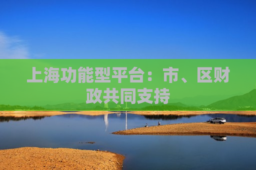 上海功能型平台：市、区财政共同支持  第1张