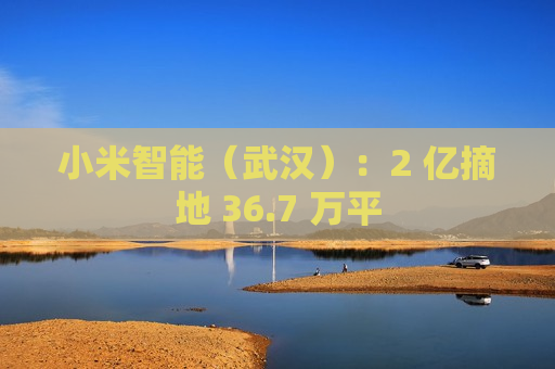 小米智能（武汉）：2 亿摘地 36.7 万平
