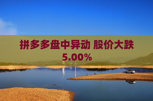 拼多多盘中异动 股价大跌5.00%