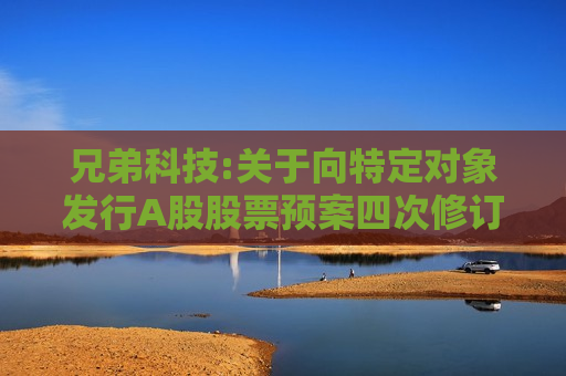 兄弟科技:关于向特定对象发行A股股票预案四次修订情况说明的公告