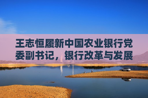 王志恒履新中国农业银行党委副书记，银行改革与发展迎来新篇章，王志恒履新中国农业银行党委副书记，引领银行改革再上新台阶，王志恒履新中国农业银行党委副书记，引领银行改革再启新篇章
