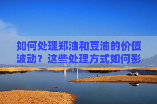 如何处理郑油和豆油的价值波动？这些处理方式如何影响投资策略？