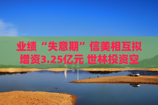 业绩“失意期”信美相互拟增资3.25亿元 世林投资空降为第二大出资人