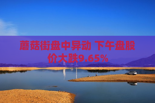蘑菇街盘中异动 下午盘股价大跌9.65%  第1张