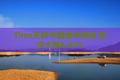 Tims天好中国盘中异动 股价大跌6.53%