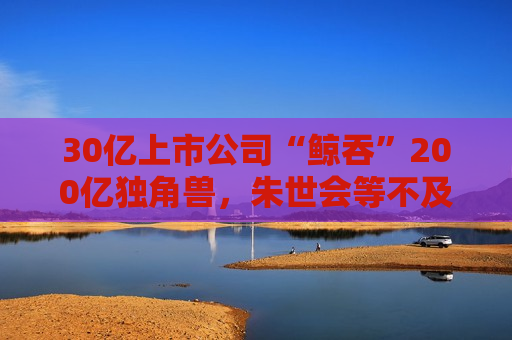 30亿上市公司“鲸吞”200亿独角兽，朱世会等不及先导电科IPO了？