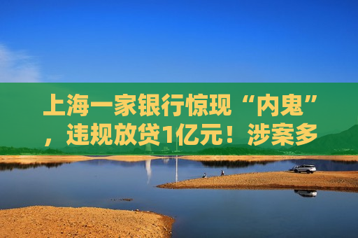 上海一家银行惊现“内鬼”，违规放贷1亿元！涉案多人锒铛入狱
