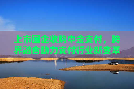 上市国企收购中金支付，跨界融合助力支付行业新变革，上市国企收购中金支付，引领支付行业新变革