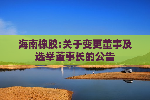 海南橡胶:关于变更董事及选举董事长的公告