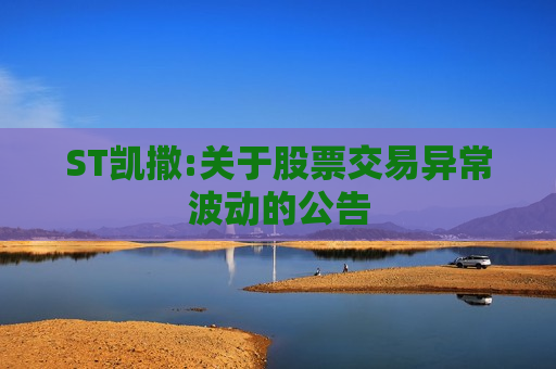 ST凯撒:关于股票交易异常波动的公告