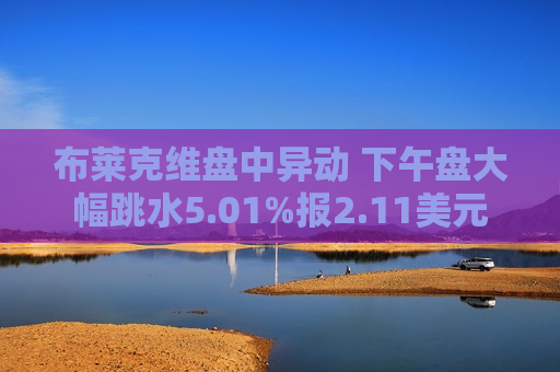 布莱克维盘中异动 下午盘大幅跳水5.01%报2.11美元  第1张