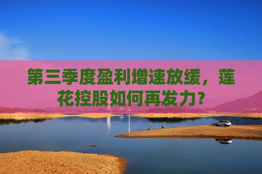 第三季度盈利增速放缓，莲花控股如何再发力？