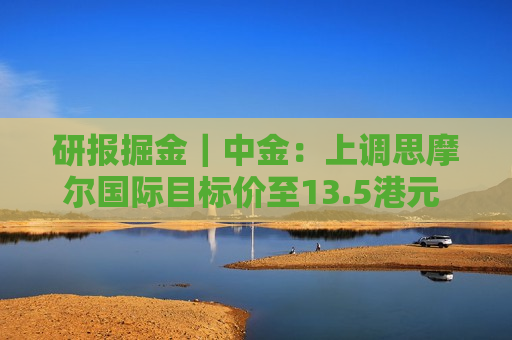 研报掘金｜中金：上调思摩尔国际目标价至13.5港元 维持“跑赢行业”评级  第1张