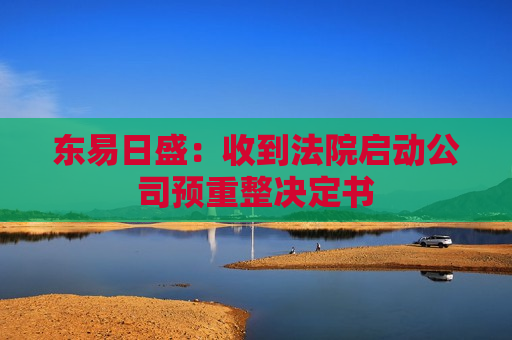 东易日盛：收到法院启动公司预重整决定书  第1张