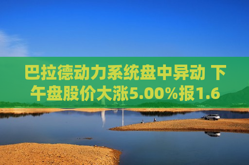 巴拉德动力系统盘中异动 下午盘股价大涨5.00%报1.68美元