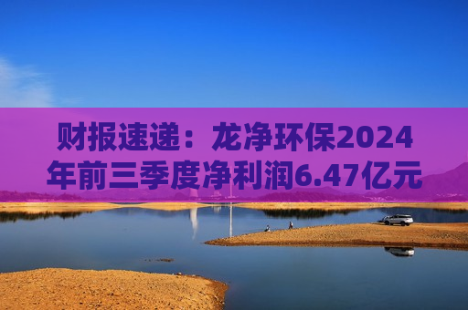 财报速递：龙净环保2024年前三季度净利润6.47亿元