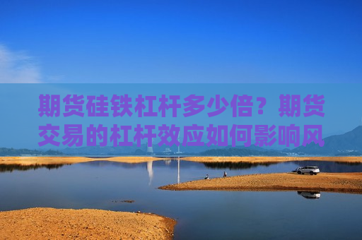 期货硅铁杠杆多少倍？期货交易的杠杆效应如何影响风险管理？  第1张