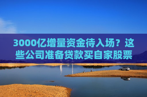 3000亿增量资金待入场？这些公司准备贷款买自家股票