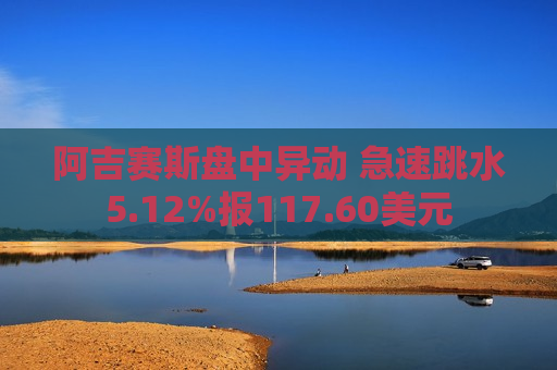 阿吉赛斯盘中异动 急速跳水5.12%报117.60美元  第1张