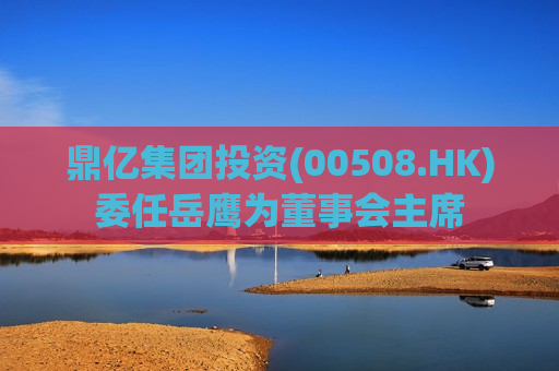 鼎亿集团投资(00508.HK)委任岳鹰为董事会主席