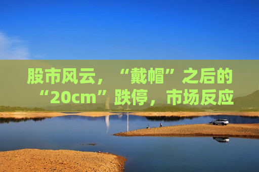 股市风云，“戴帽”之后的“20cm”跌停，市场反应与应对策略，“戴帽”后股市风云突变，20cm跌停引发市场反应与策略调整，“戴帽”后股市风云突变，20cm跌停引发市场策略调整