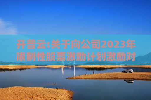 开普云:关于向公司2023年限制性股票激励计划激励对象授予预留限制性股票的公告  第1张