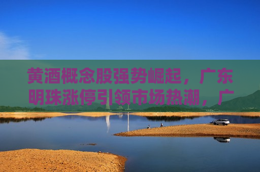 黄酒概念股强势崛起，广东明珠涨停引领市场热潮，广东明珠引领黄酒概念股强势崛起，市场热潮涌动，广东明珠引领黄酒概念股强势崛起，市场热潮涌动  第1张