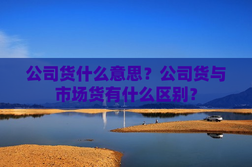 公司货什么意思？公司货与市场货有什么区别？  第1张