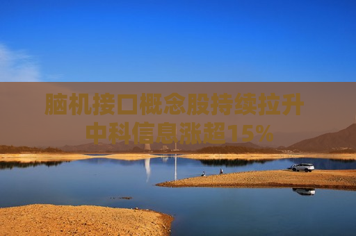 脑机接口概念股持续拉升 中科信息涨超15%  第1张