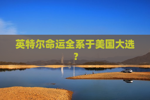 英特尔命运全系于美国大选？  第1张