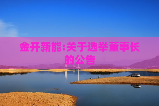 金开新能:关于选举董事长的公告