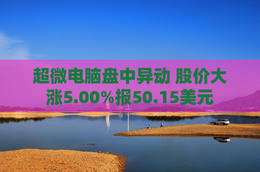 超微电脑盘中异动 股价大涨5.00%报50.15美元