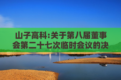 山子高科:关于第八届董事会第二十七次临时会议的决议公告
