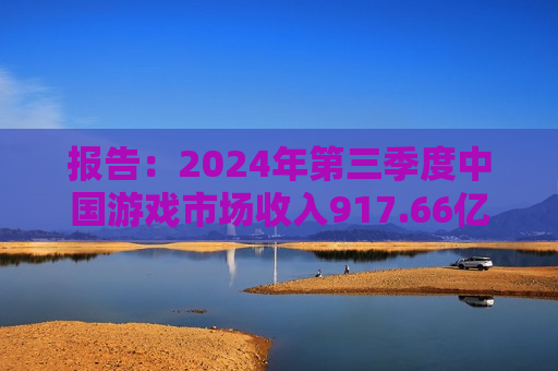 报告：2024年第三季度中国游戏市场收入917.66亿元 同比增长8.95%  第1张